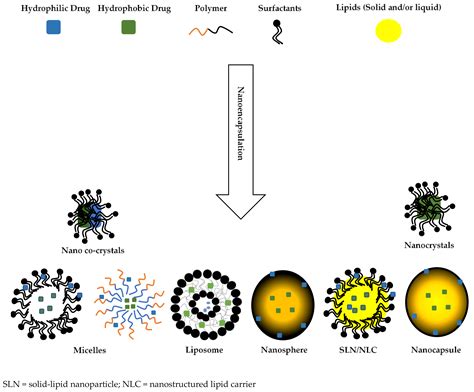  ¿Liposomal Nanoparticles: La Próxima Generación de Materiales Biocompatibles para la Ingeniería Tisular?