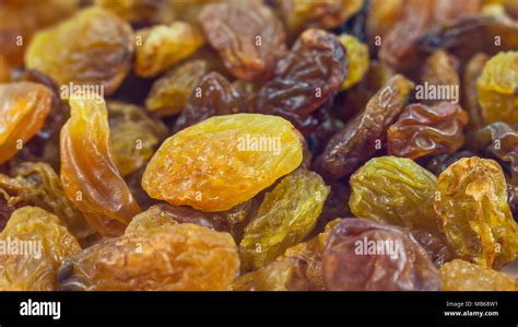  Raisins: Uncovering the Sweet Secrets of Dried Grapes for Food and Beverage Applications!