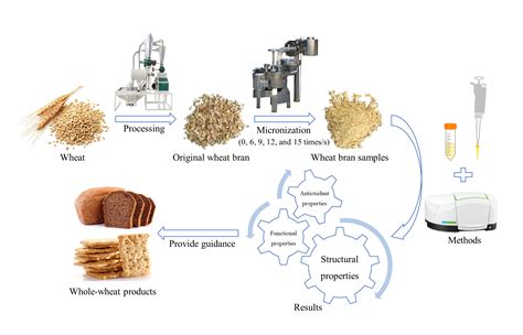  ¿Wheat Bran: Un Tesoro Oculto para la Producción de Alimentos Funcionales?