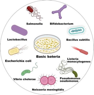  Xanthans: Un material polimérico de origen bacteriano para la industria alimentaria y farmacéutica!