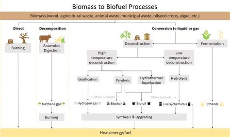 ¡Xilol: Descubriendo un Material Madera Maravilloso para la Fabricación de Papel y la Producción de Biocombustibles!